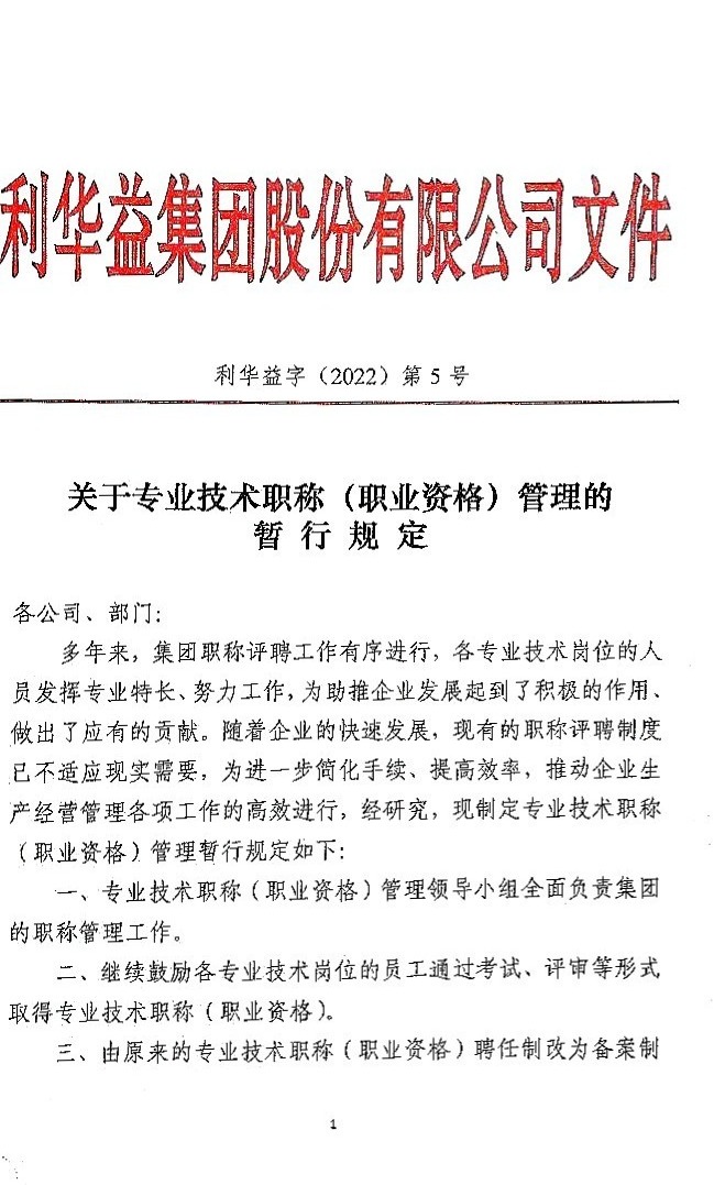 关于专业技术职称管理、薪酬等级设置的暂行规定