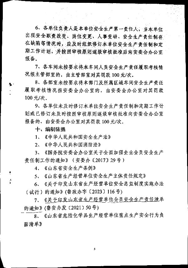 全员安全生产责任制管理规定（试行）