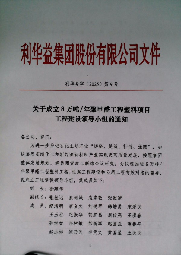关于成立8万吨/年聚甲醛工程塑料项目工程建设领导小组的通知