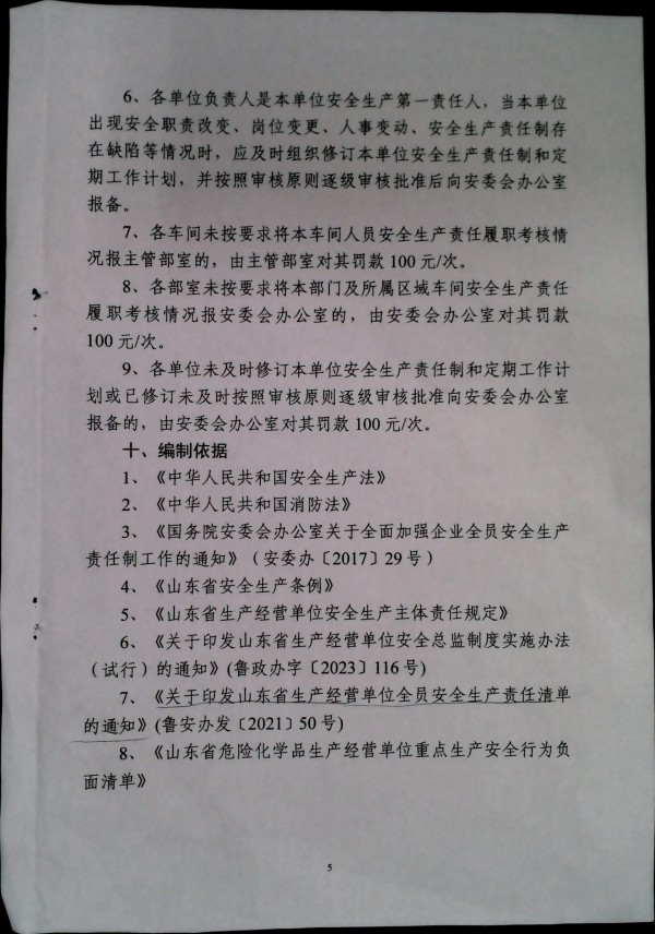 全员安全生产责任制管理规定（试行）