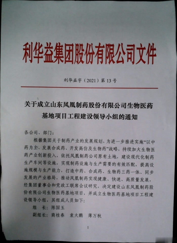 关于成立山东凤凰制药股份有限公司生物医药基础工程建设领导小组的通知