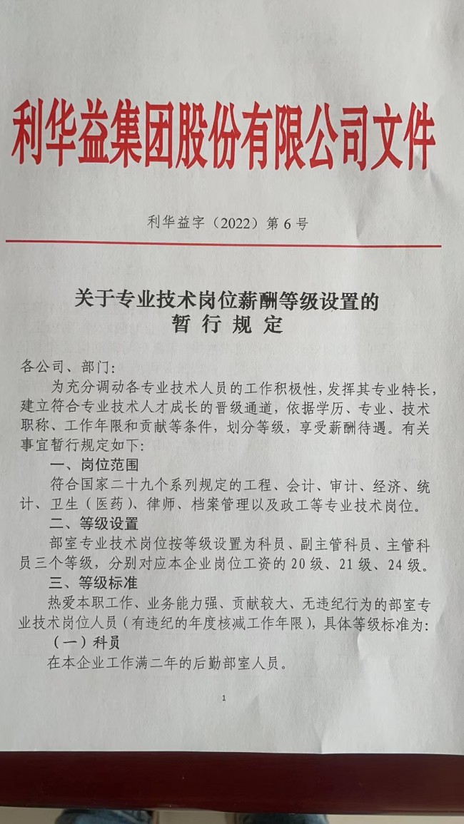 关于专业技术职称管理、薪酬等级设置的暂行规定