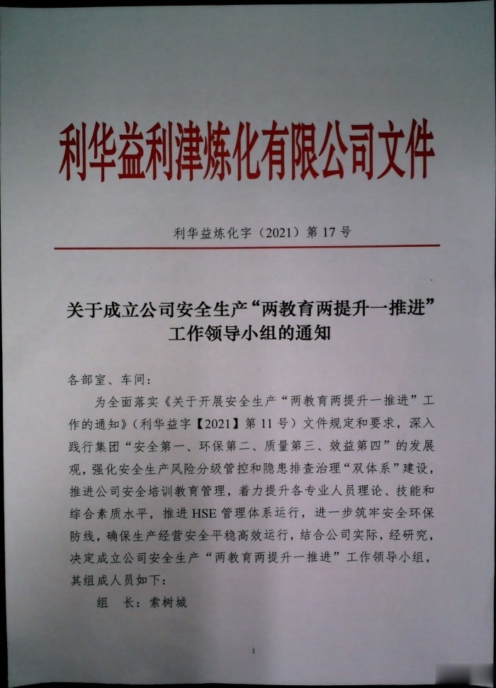 关于成立公司安全生产“两教育两提升一推进”工作领导小组的通知