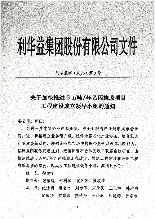 关于加快推进5万吨/年乙丙橡胶项目工程建设成立领导小组的通知