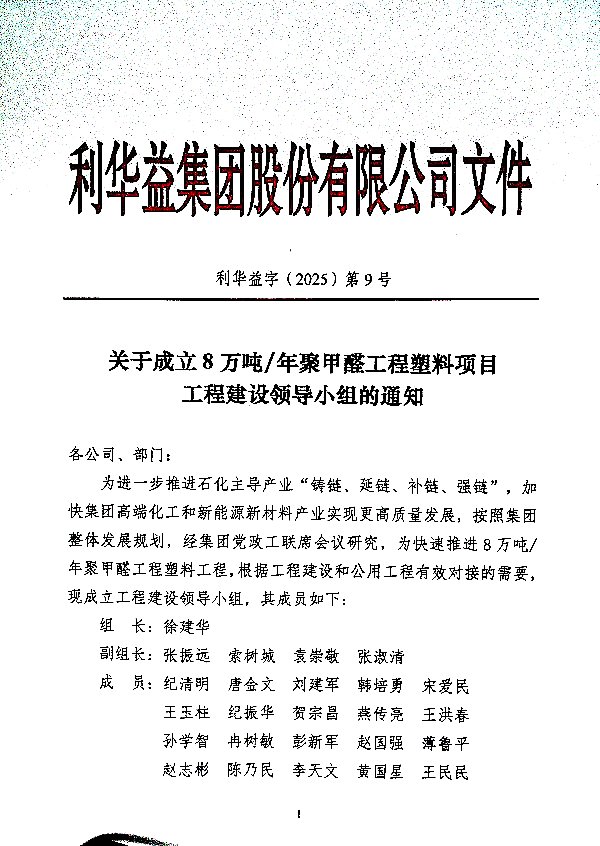 关于成立8万吨/年聚甲醛工程塑料项目工程建设领导小组的通知