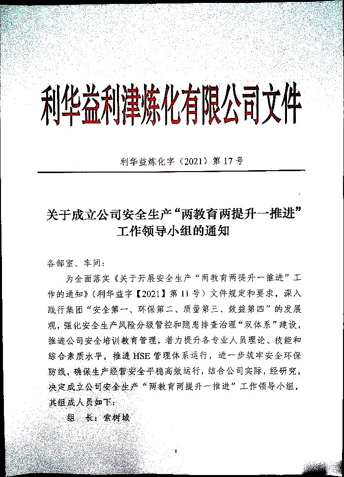 关于成立公司安全生产“两教育两提升一推进”工作领导小组的通知